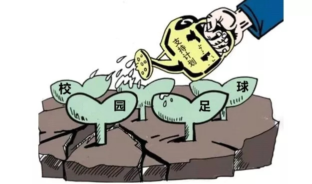 最新足球消息,最新足球消息概览，全球足球动态一网打尽