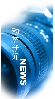 中东最新新闻,中东最新新闻动态分析