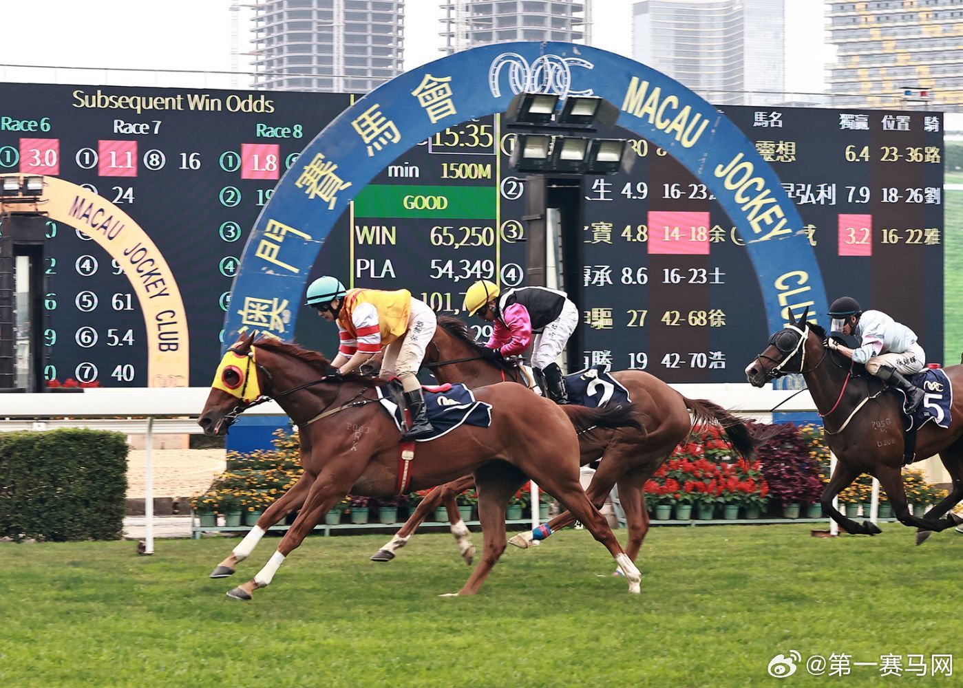 新澳门2024年正版马表,新澳门2024年正版马表，传统与创新的完美结合