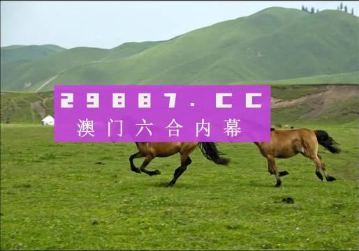 2024正版资料澳门跑狗图跑狗图,澳门跑狗图与正版资料的探索之旅