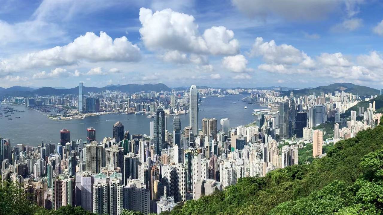 香港2024最准马资料免费,香港2024最准马资料免费，深度解析与预测