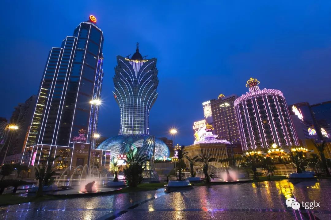 2024年新澳门天天开彩,揭秘澳门新彩世界，2024年新澳门天天开彩展望