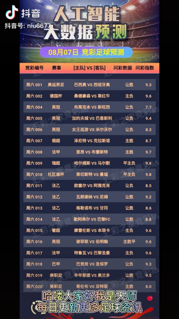 2024澳门天天彩免费正版资料,关于澳门天天彩免费正版资料的探讨——警惕犯罪风险