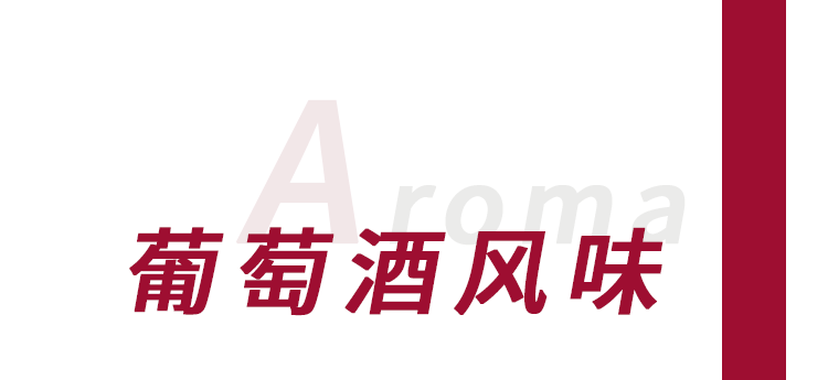 2024新澳资料免费精准,2024新澳资料免费精准，探索最新资源与信息的交汇点