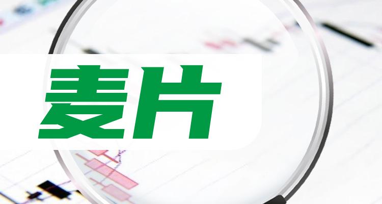 2024管家婆精准资料第三,揭秘2024年管家婆精准资料第三篇章，洞悉未来，运筹帷幄