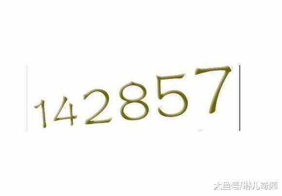 7777788888一肖一码,探索神秘数字组合，777778与88888一肖一码