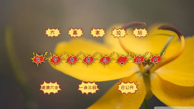 澳门4949开奖结果最快,澳门4949开奖结果最快，探索与解析