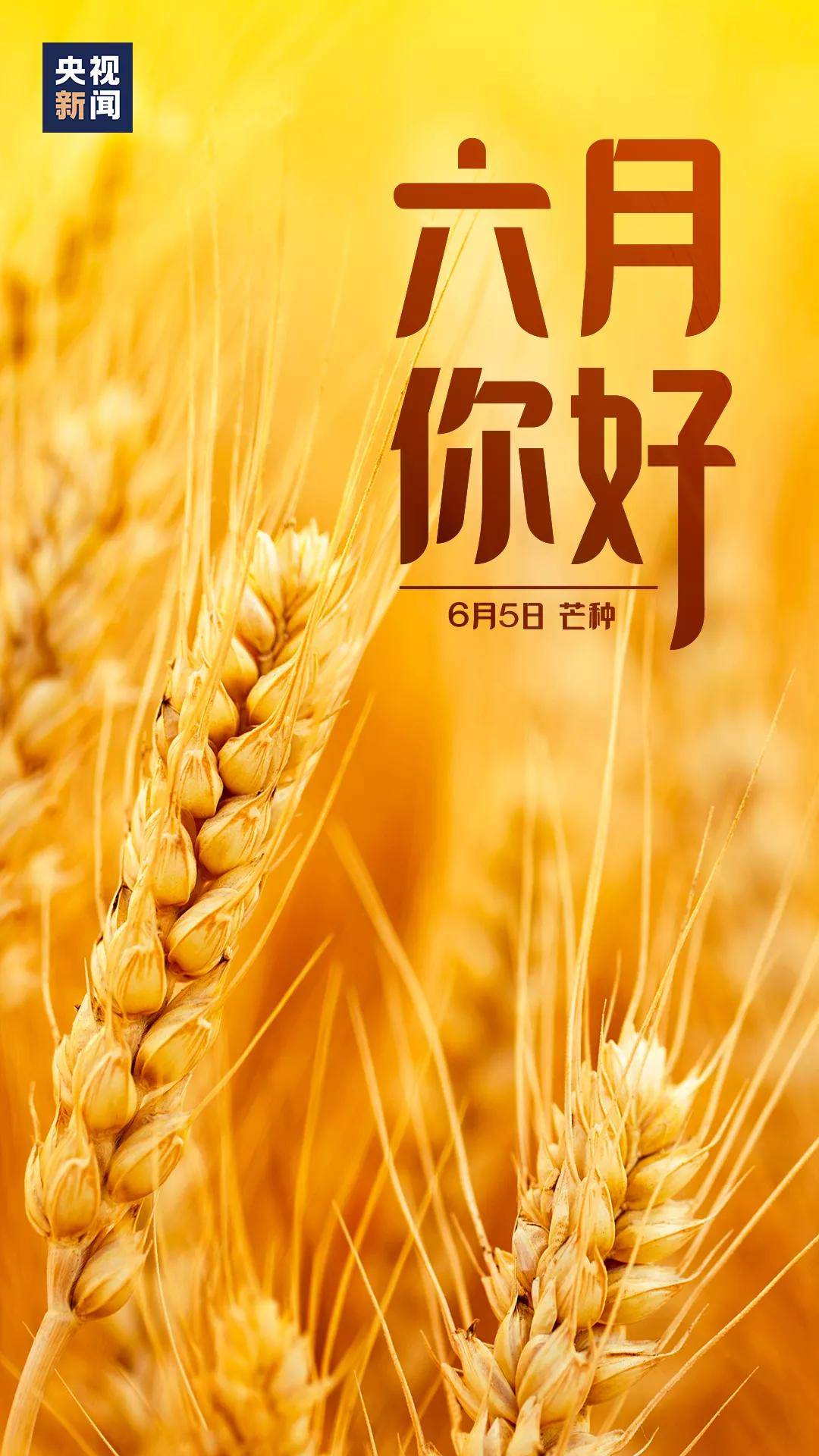 二四六天天好944CC彩资料全免费,二四六天天好，全彩资料免费共享，助力彩民梦想起航