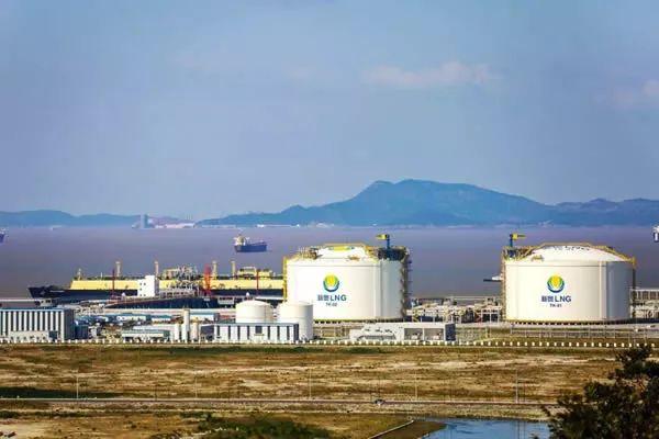 2025新奥历史开奖结果查询,揭秘新奥历史开奖结果查询系统，探寻未来的预测与趋势（关键词，新奥历史开奖结果查询）