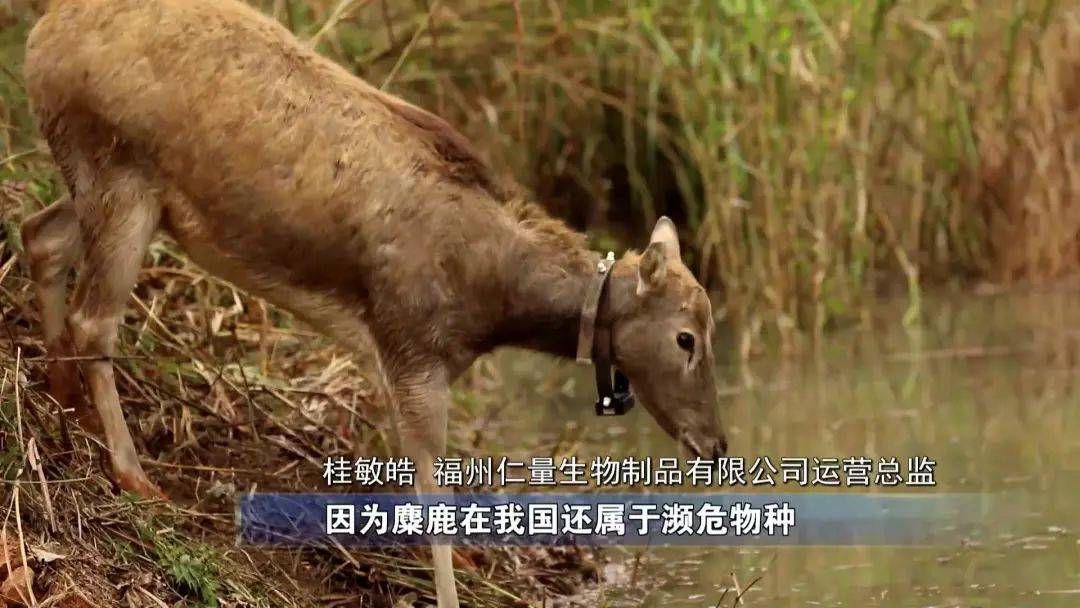 蝇营狗苟 第8页
