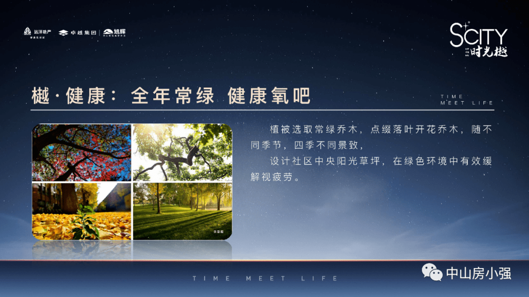 洗耳恭听 第6页