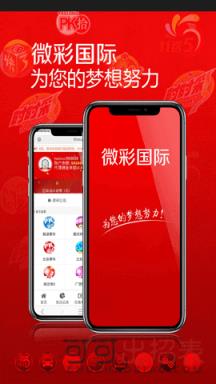 新澳门最快开奖六开开奖结果,澳门新开奖六开结果，探索与解读彩票的魅力