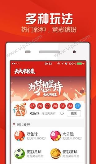 2023澳门天天开好彩大全,澳门天天开好彩，理性看待彩票与防范犯罪风险