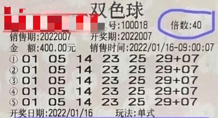 2025新澳门挂牌正版挂牌今晚,探索澳门未来，2025新澳门挂牌正版挂牌的魅力与展望