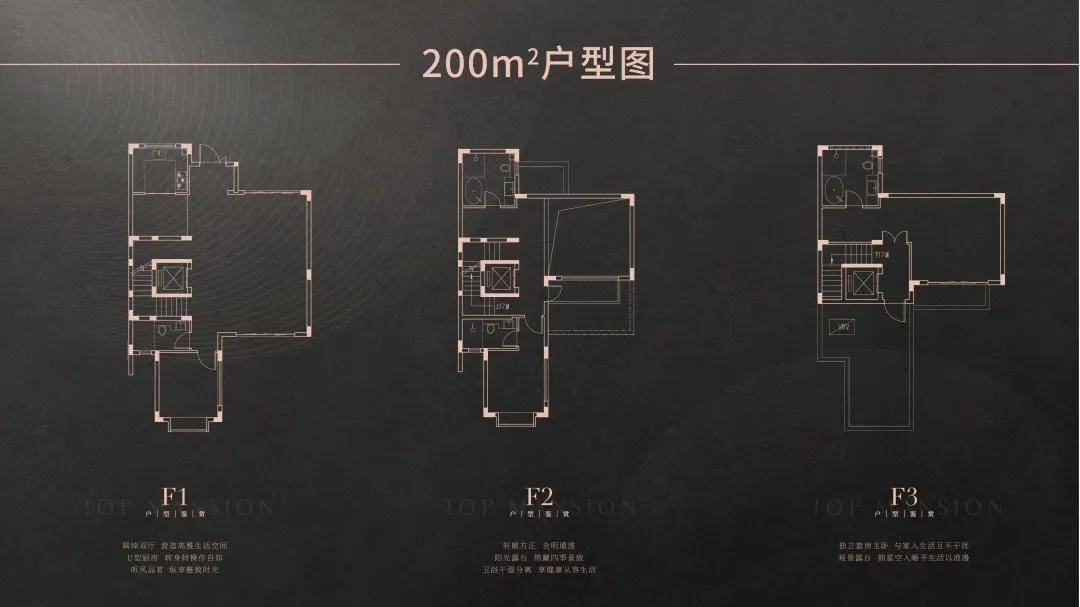 新门内部资料精准大全,新门内部资料精准大全——深度探索与解析