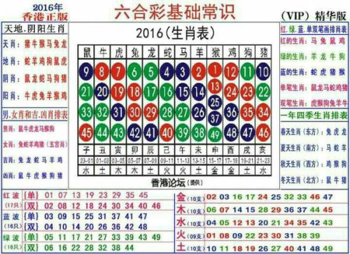 2025十二生肖49个码,探寻十二生肖与数字世界的神秘交汇，解码2025年十二生肖的49个数字密码