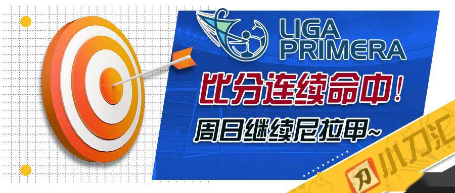 2025新奥资料免费精准096期 14-47-09-02-42-21T：31,探索新奥资料，2025年免费精准第096期数据解析