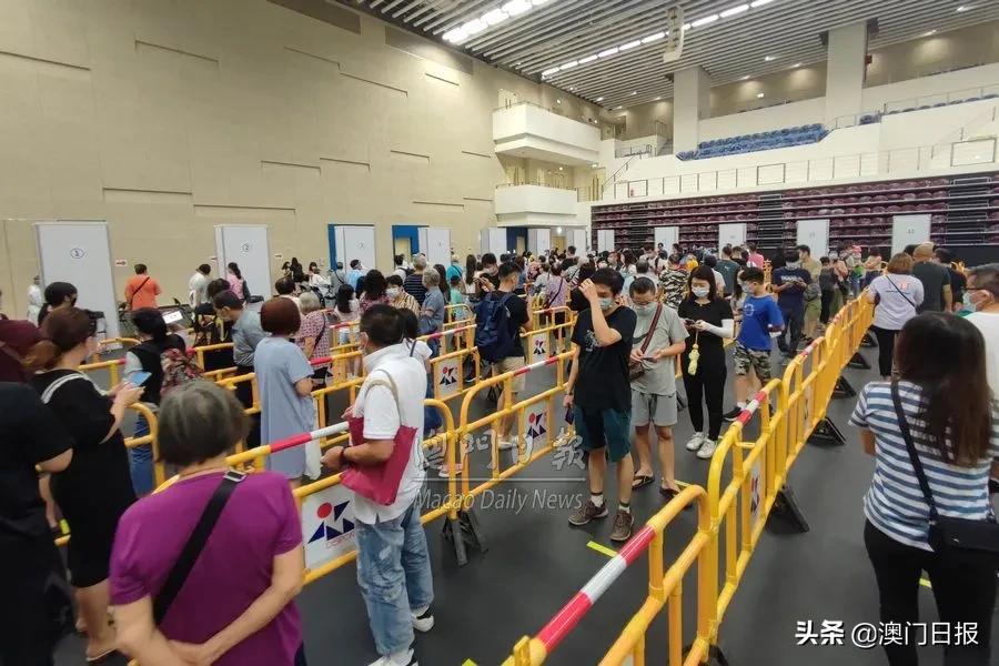 澳门六开彩天天免费领取144期 02-04-11-18-33-41Y：45,澳门六开彩天天免费领取，探索彩票背后的故事与策略（第144期分析）