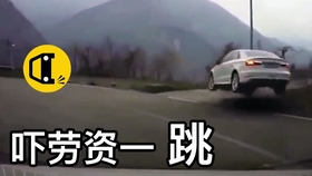 2025年新溪门天天开彩005期 21-32-14-08-37-48T：03,新溪门天天开彩，探索未来的幸运之门（第005期报告）
