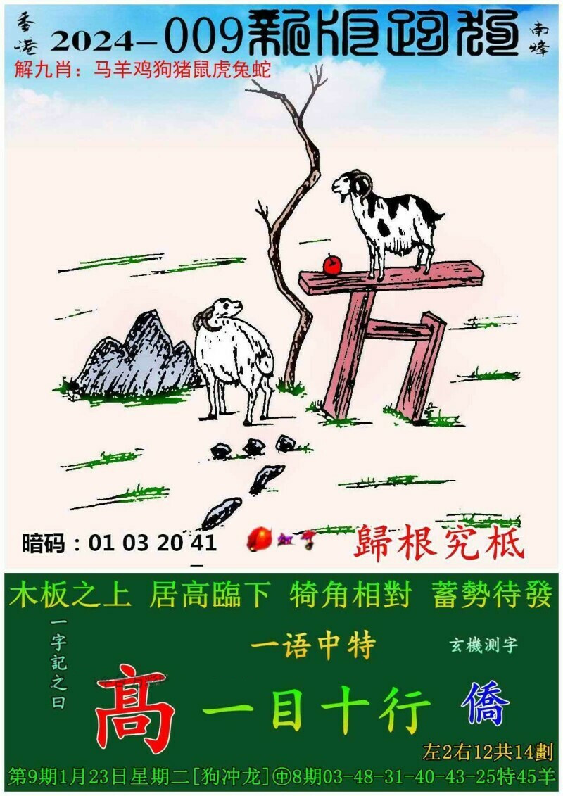 跑狗图993994www跑狗玄机032期 11-13-20-21-24-25N：24,探索跑狗图，神秘数字与玄机解读（第993994期）