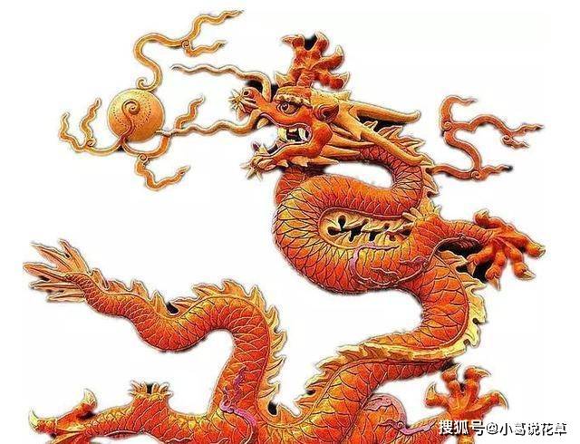 2025澳彩管家婆资料龙蚕050期 05-06-08-20-44-47S：03,探索澳彩管家婆资料龙蚕之谜——以050期数据为例