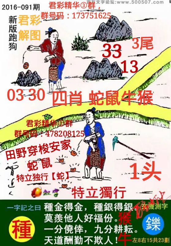 2025年新跑狗图最新版跑狗图041期 02-12-18-31-39-48U：18,探索最新跑狗图，2025年新跑狗图最新版之第041期（含关键词U，18）