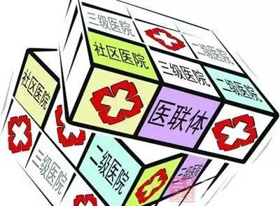 2025年新奥梅特免费资料大全124期 04-05-06-13-34-43D：15,探索新奥梅特世界，2025年免费资料大全第124期详解