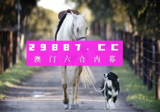 澳门今晚必开一肖一码新闻049期 05-13-24-26-45-49S：27,澳门今晚必开一肖一码新闻049期，探索命运之码的奥秘与期待