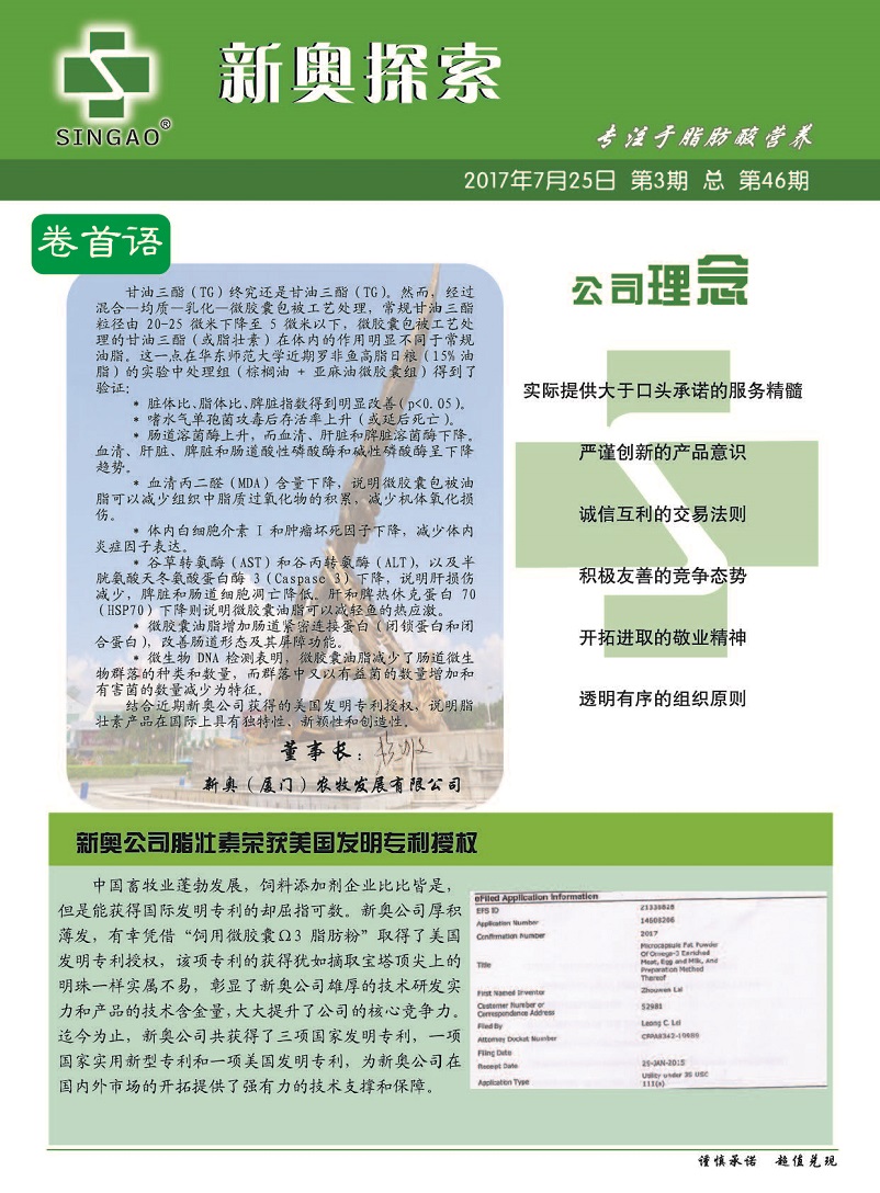 2025新奥资料免费精准175029期 04-06-09-13-23-30D：49,探索新奥资料，2025年第175029期的免费精准资源