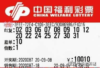 管家婆2022澳门免费资格115期 03-07-10-13-22-36K：46,探索管家婆2022澳门免费资格第115期，聚焦数字与策略